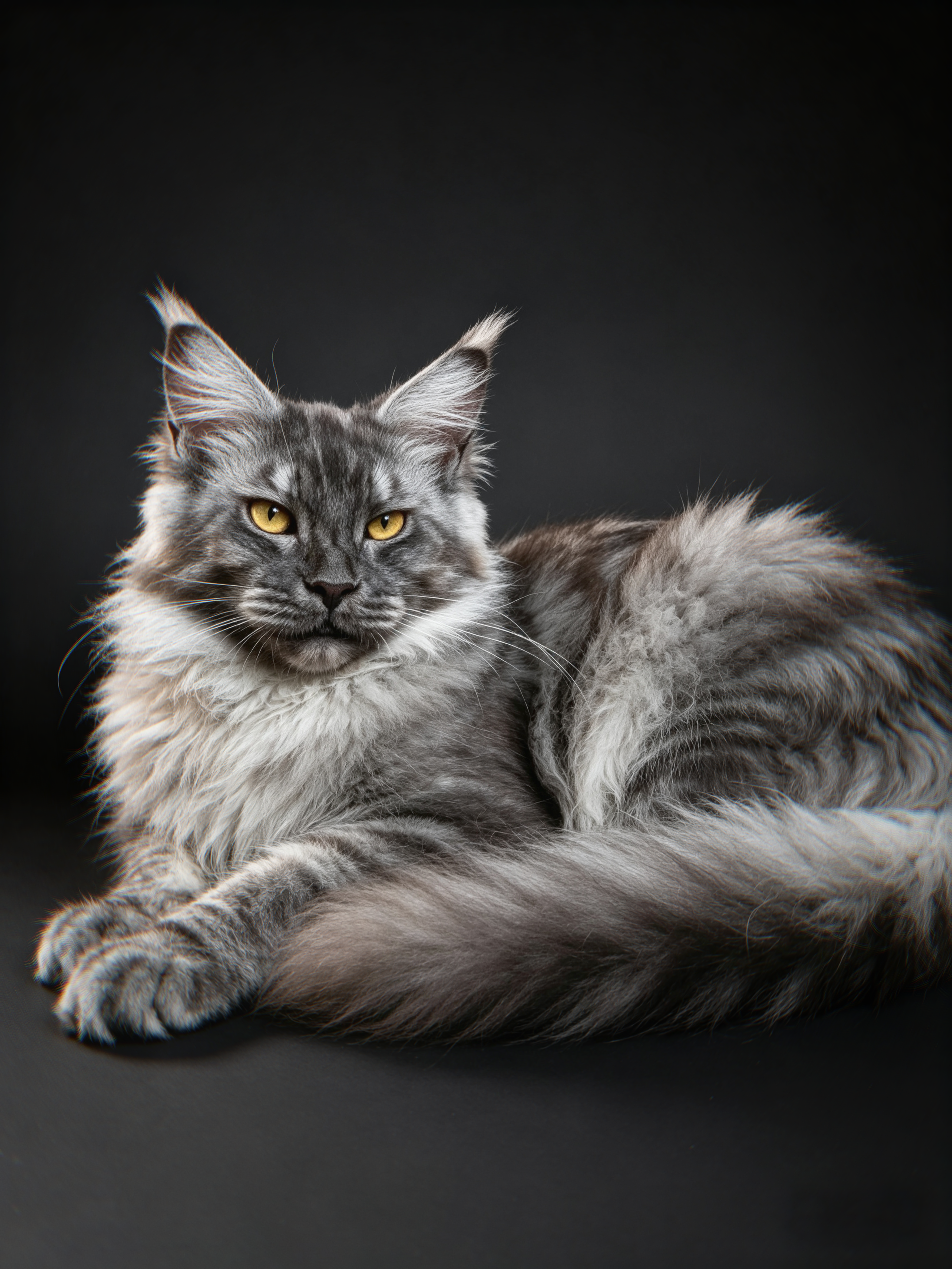 LiLi